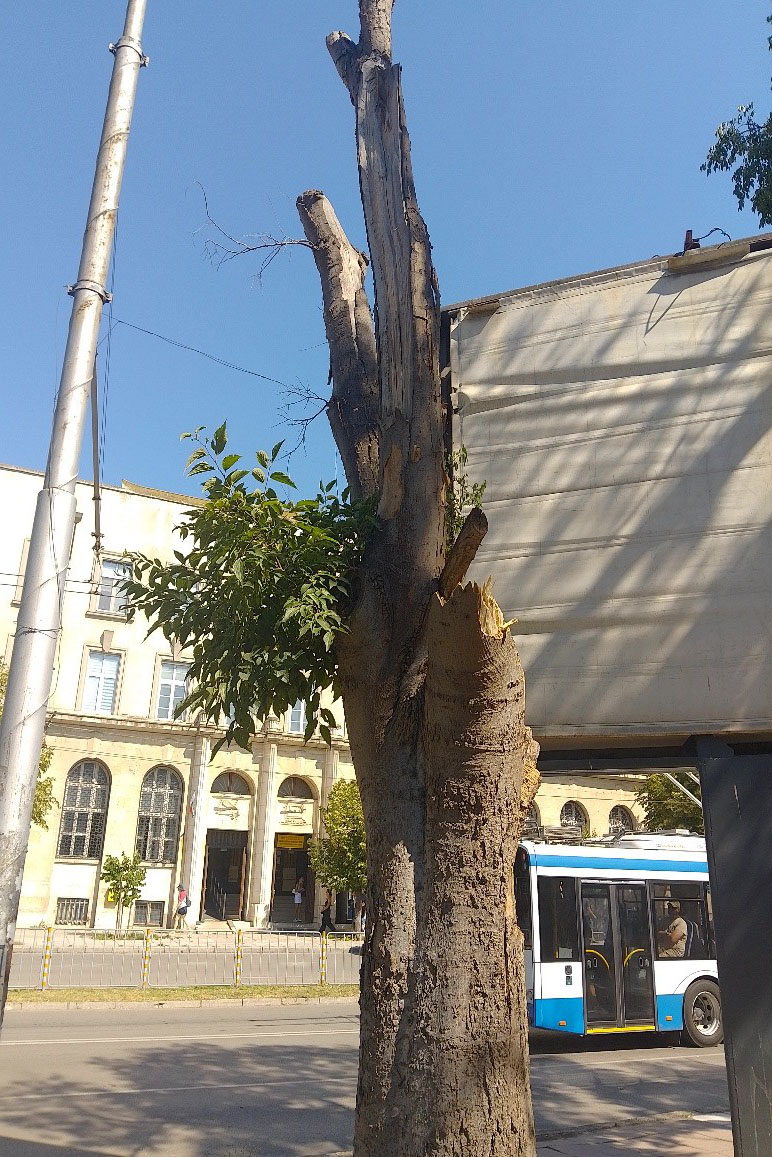 Свързани файлове